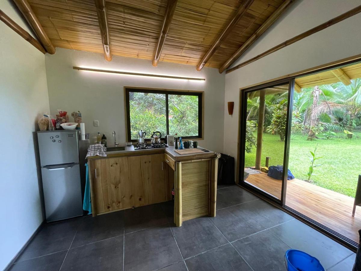 Corcovado Guest House Drake Bay Exterior foto