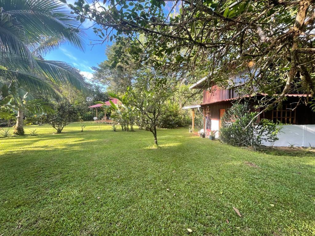 Corcovado Guest House Drake Bay Exterior foto